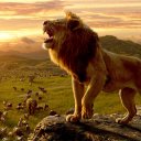 masunaydin adlı kullanıcı